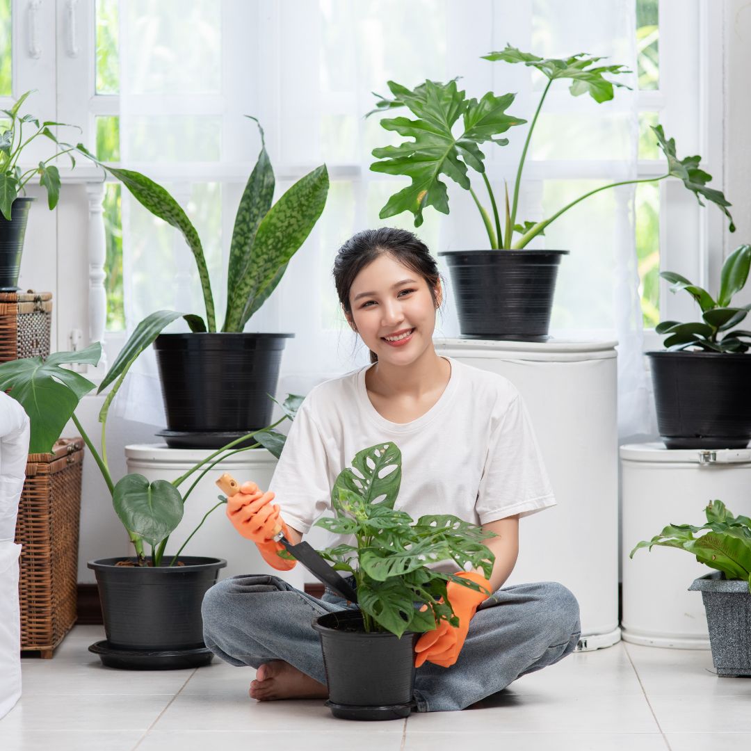 Benefícios da Jardinagem Vertical em Ambientes Urbanos