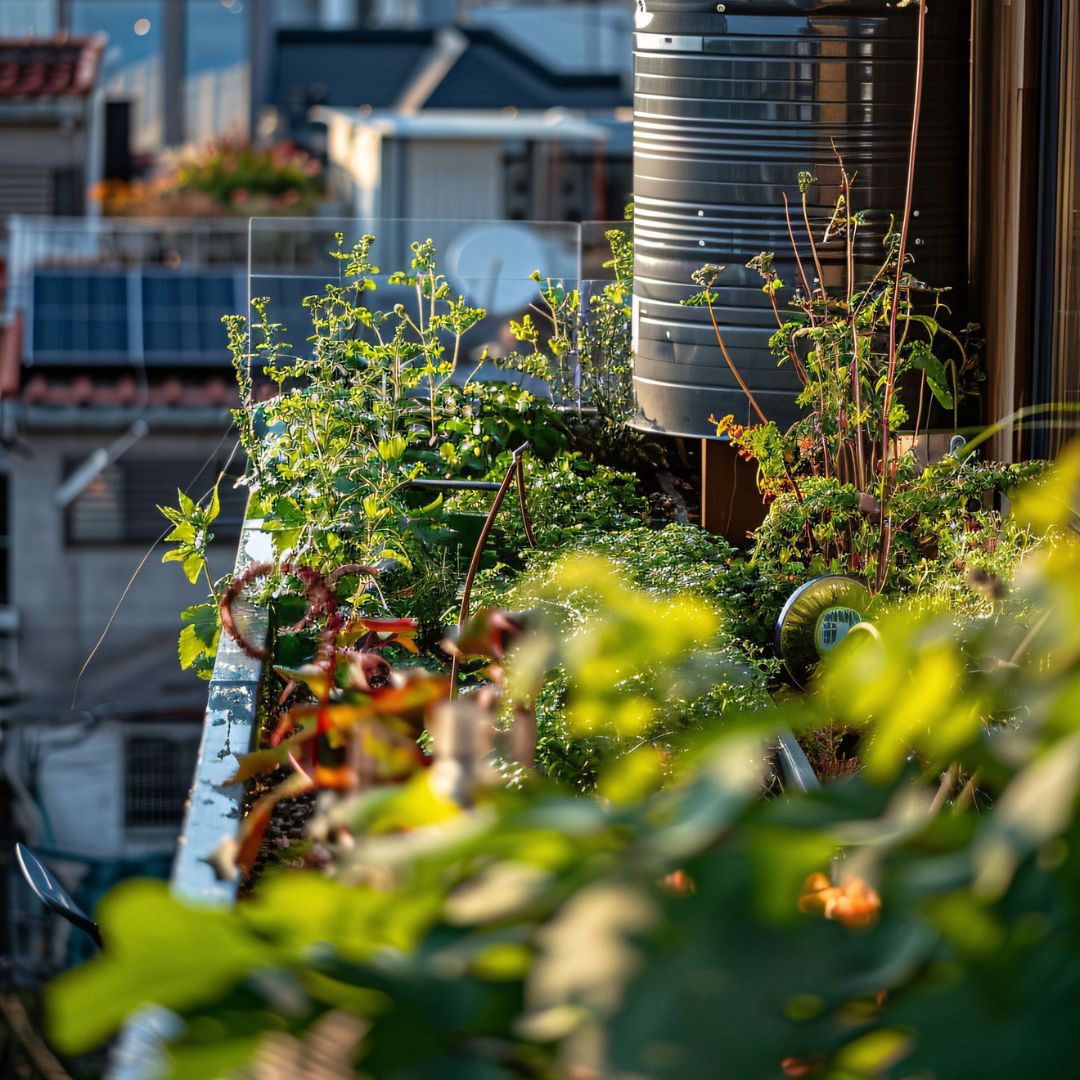 Plantas Ideais para Jardins Verticais Urbanos