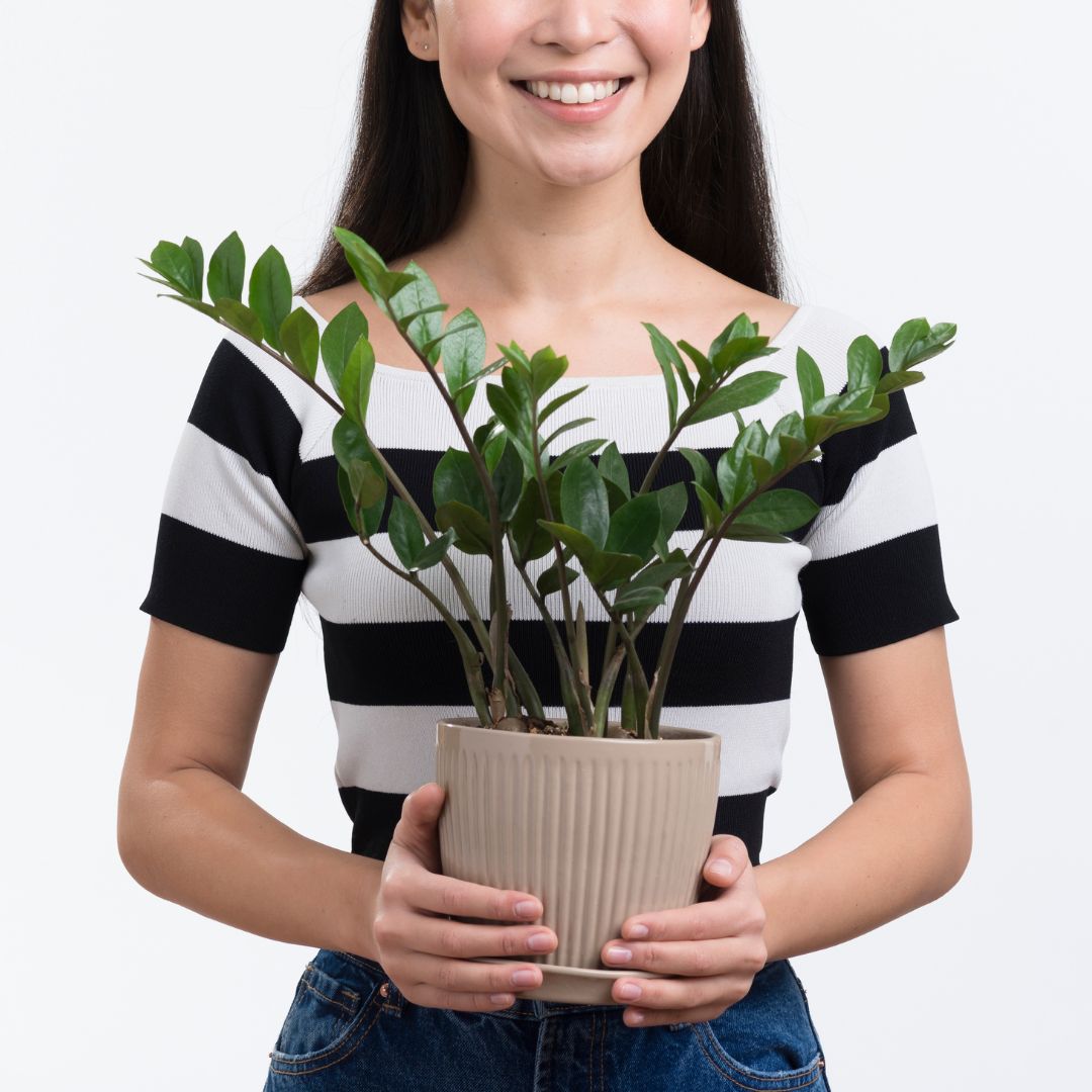 Plantas Ideais para Hortas Urbanas em Pequenos Espaços