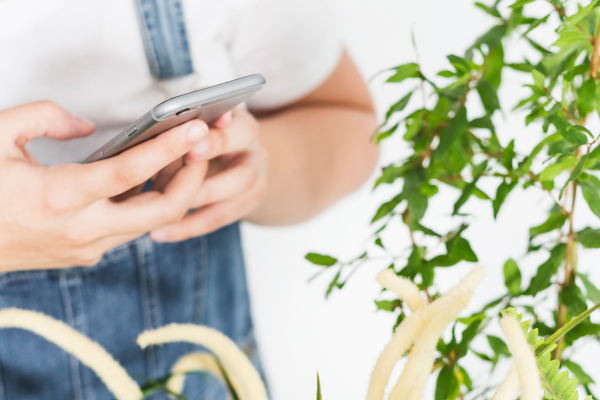 Como Usar a Tecnologia para Monitorar Seu Jardim Urbano