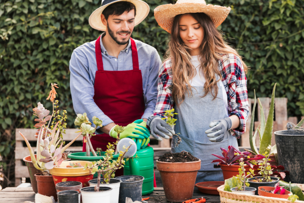 Técnicas de Jardinagem Urbana: Cultivando em Espaços Pequenos